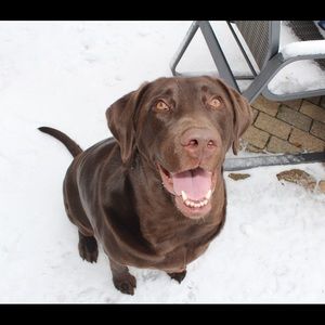 Meet your Posher, Olivia